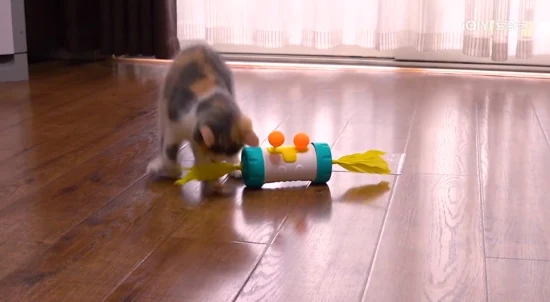 Jouets pour chiens/chats, produit pour animaux de compagnie, jouet d'alimentation, couleur noire, offre spéciale